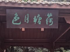 -铁山坪森林公园