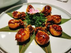 -鲐赏河豚(长寿店)
