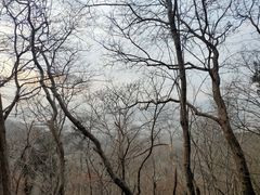 -紫金山山顶公园