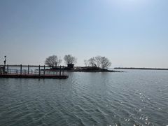 景点-苏州太湖湖滨国家湿地公园