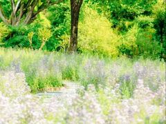 -深圳国际园林花卉博览园