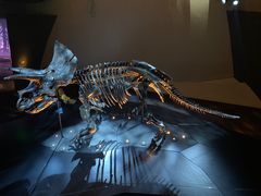 -墨尔本博物馆(Melbourne Museum)