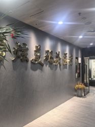 -北京炫美医疗美容