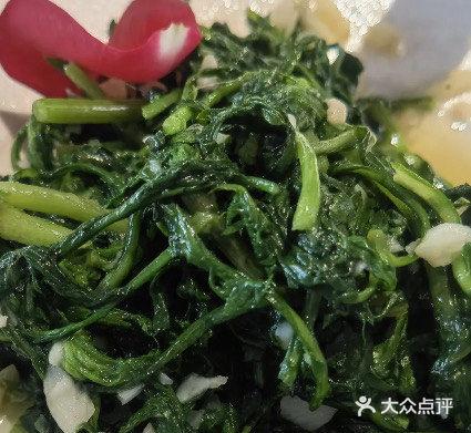 月下品味美食时光