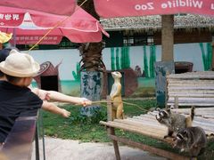 -泉州海丝野生动物世界