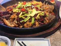 -老板恋上鱼(恒隆广场店)