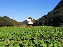 -广州市石门国家森林公园