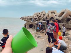 -东疆建设开发纪念公园