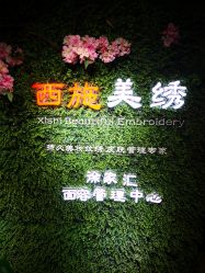 -西施无菌半永久纹绣眉眼影唇轻增发纹发际线
