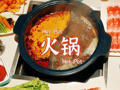 -大胖骨汤火锅(裕华店)