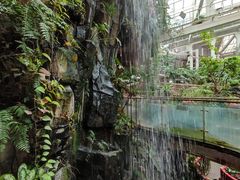 -正佳雨林生态植物园
