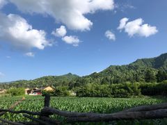 -黑河国家森林公园