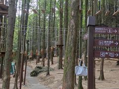 -山王坪喀斯特国家生态公园