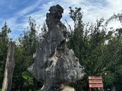 -云南勐巴娜西珍奇园