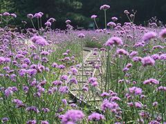 -云峰山自然风景区