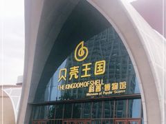 -贝壳王国博物馆