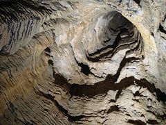 -怀托摩萤火虫洞