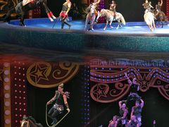 -珠海横琴长隆《卡卡虎奇遇记》