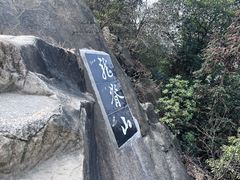 -南山植物园