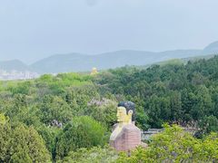 -千佛山风景名胜区