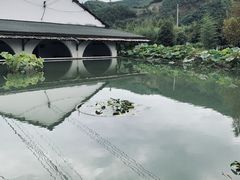 -斐文野奢酒店·私房菜·轻吧