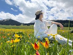 -新疆那拉提国家旅游度假区