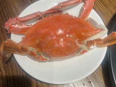 -海味当家·蒸锅海鲜(星海公园店)