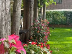 -一尺花园(安和花园店)