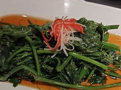 -杨氏青龙虾·羊蝎子(托乐嘉店)
