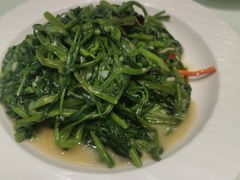 -老广酒楼(樱花店)