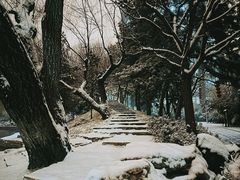-团结湖公园