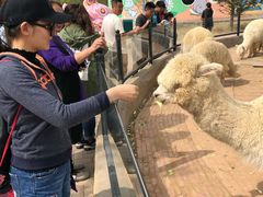 -鄂尔多斯野生动物园