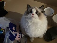-联合动物医院(光谷诊疗中心)
