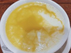 姜汁双皮奶热-正德顺順德雙皮奶(中信店)