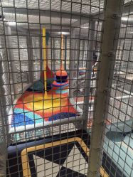 -奈尔宝家庭中心·亲子餐厅(北京东坝万达店)