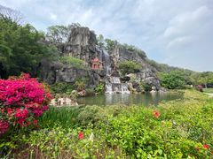 -金鸡山公园