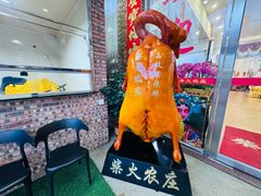 -柴火农庄(东海路店)