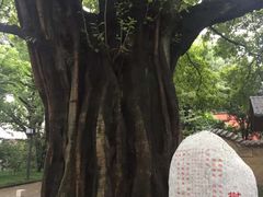 -黄桷坪涂鸦艺术街