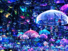 -天津梵高星空艺术馆(天河城旗舰店)