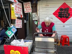 -孙奶奶葱包桧