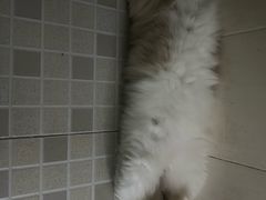 -深圳大学城（南区）体育中心-游泳馆