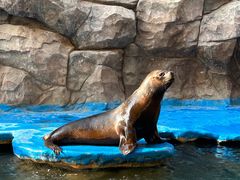 -华夏文旅海洋公园