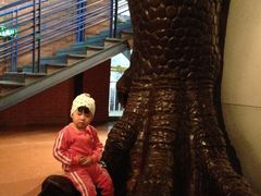 -国家自然博物馆