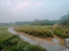 -广东花都湖国家湿地公园