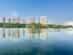 -南宁南湖公园
