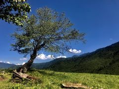 -硗碛藏寨·神木垒景区