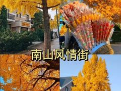 -大连天门山国家森林公园