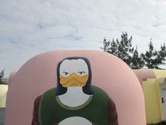 -漳州滨海火山岛自然生态风景区