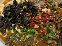 砂锅大头鱼-谢小厨(沈家店)