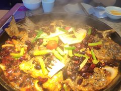 -老板恋上鱼(恒隆广场店)